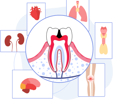 Sleep Apnea Services