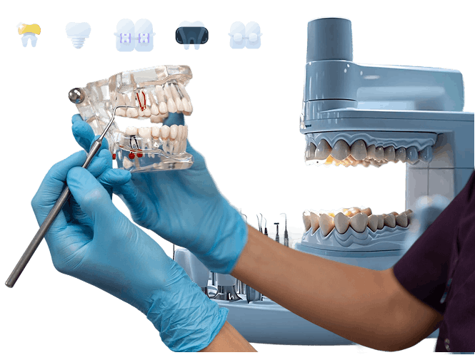 Dental Offices and Labs