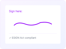 Electronic signature input